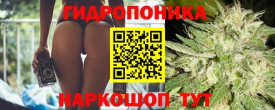 соль ск Можга