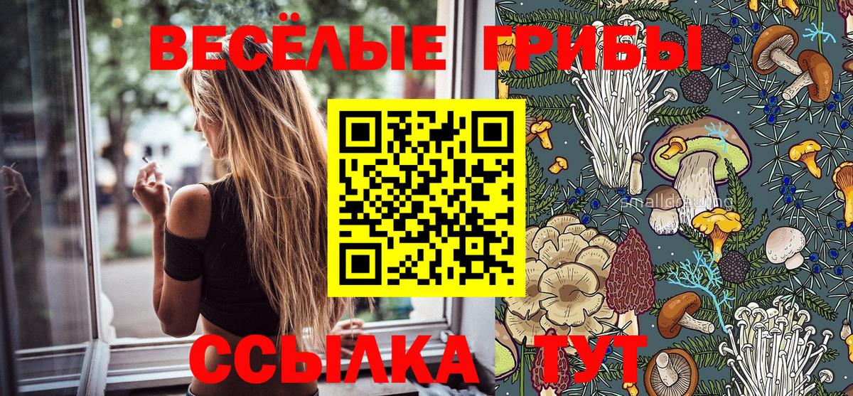 Тихорецк  Галлюциногенные грибы Cubensis  Вход с VPN 